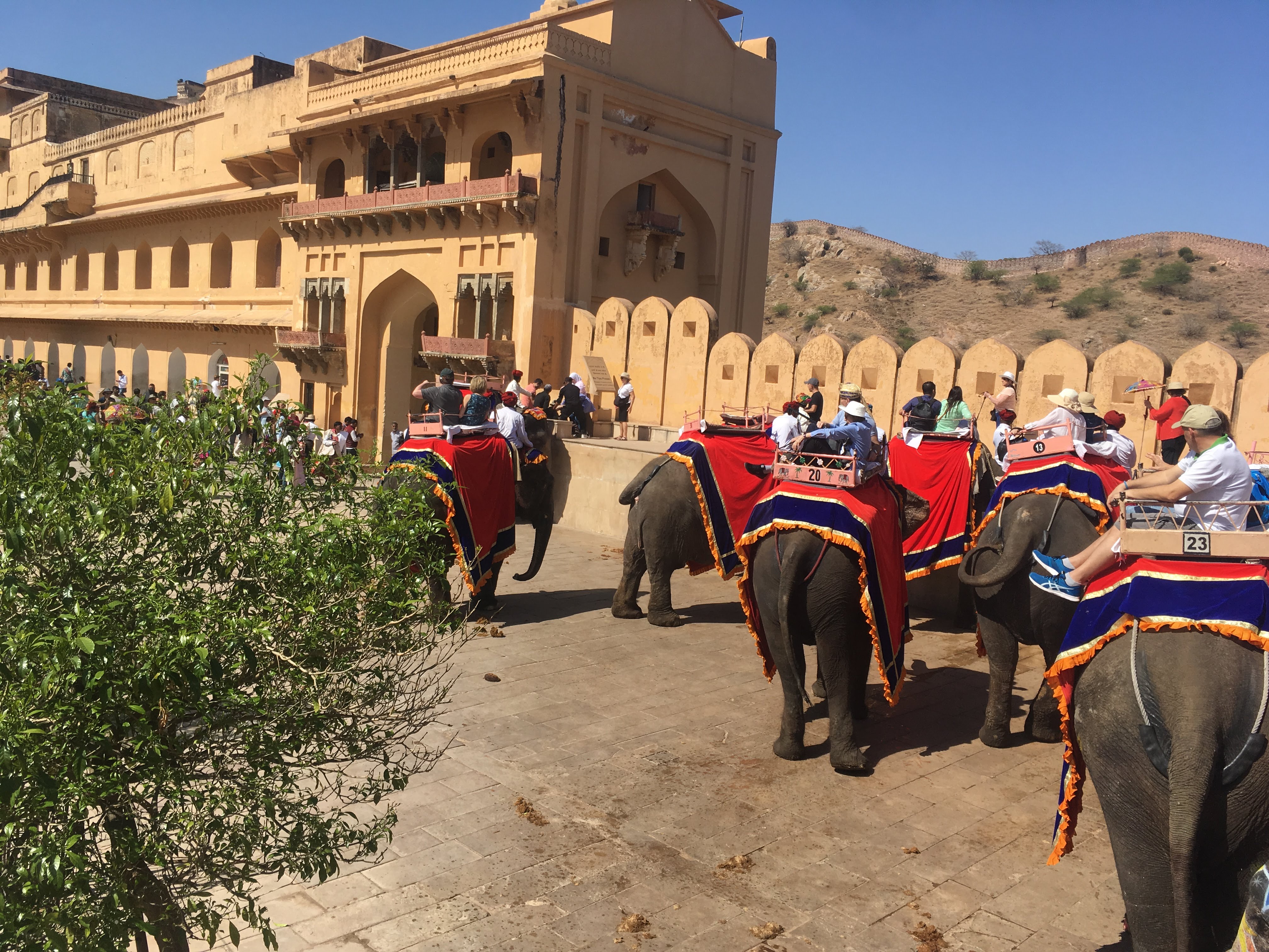 Elephant Ride Line-up at Amber Fort- Jaipur
